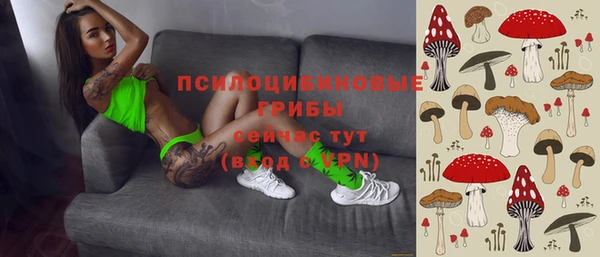 дмт Инсар