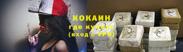 шишки Инта