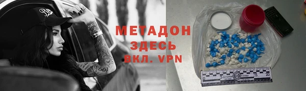 шишки Инта