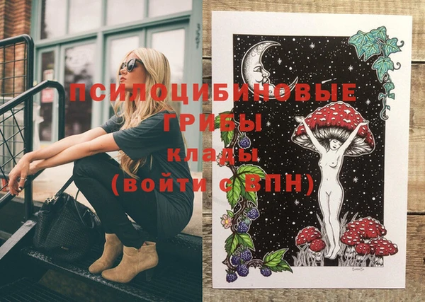 шишки Инта