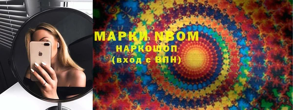 дмт Инсар
