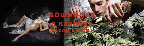 дмт Инсар