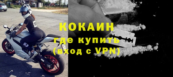 дмт Инсар