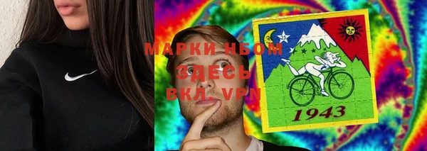 шишки Инта