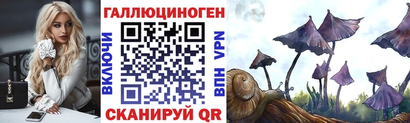 Купить  Искитим  Галлюциногенные грибы мицелий 