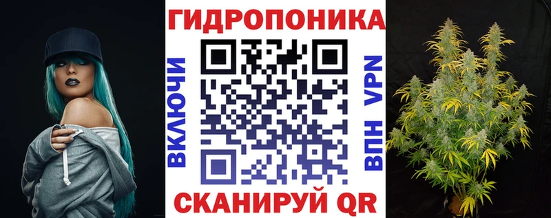 Купить где  Искитим  Конопля планчик 